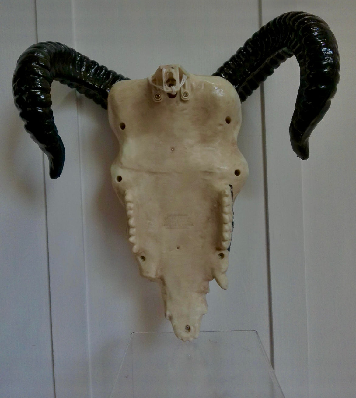 B&W Painted Ram Skull